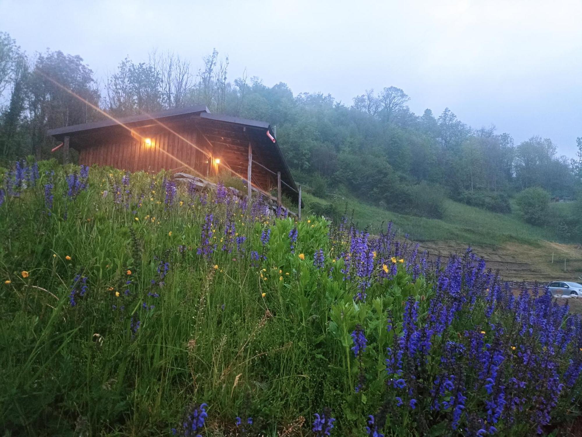 Agriturismo Cascina Cornella Cremeno Kültér fotó