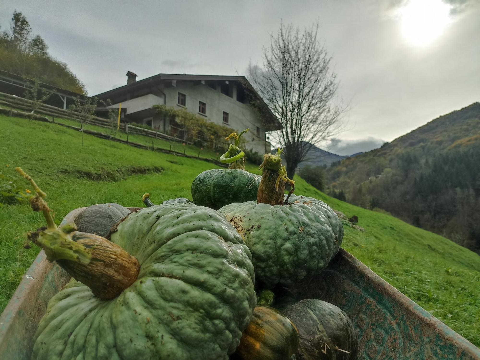 Agriturismo Cascina Cornella Cremeno Kültér fotó