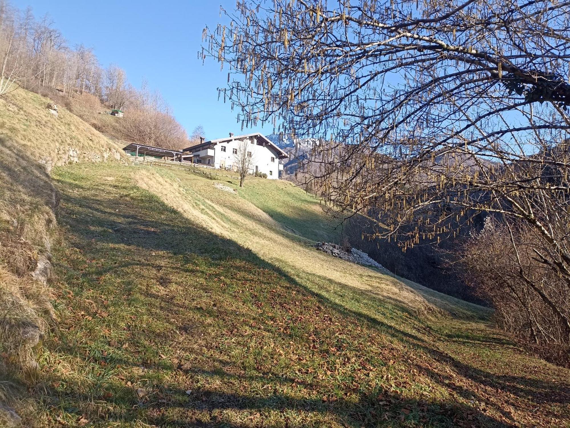 Agriturismo Cascina Cornella Cremeno Kültér fotó