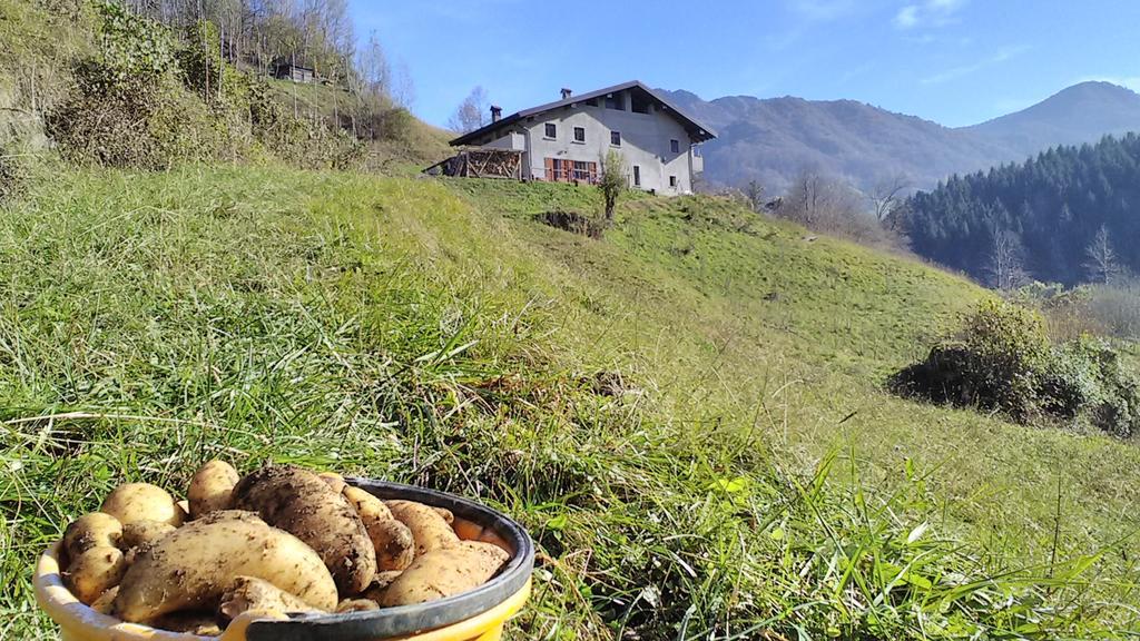 Agriturismo Cascina Cornella Cremeno Kültér fotó