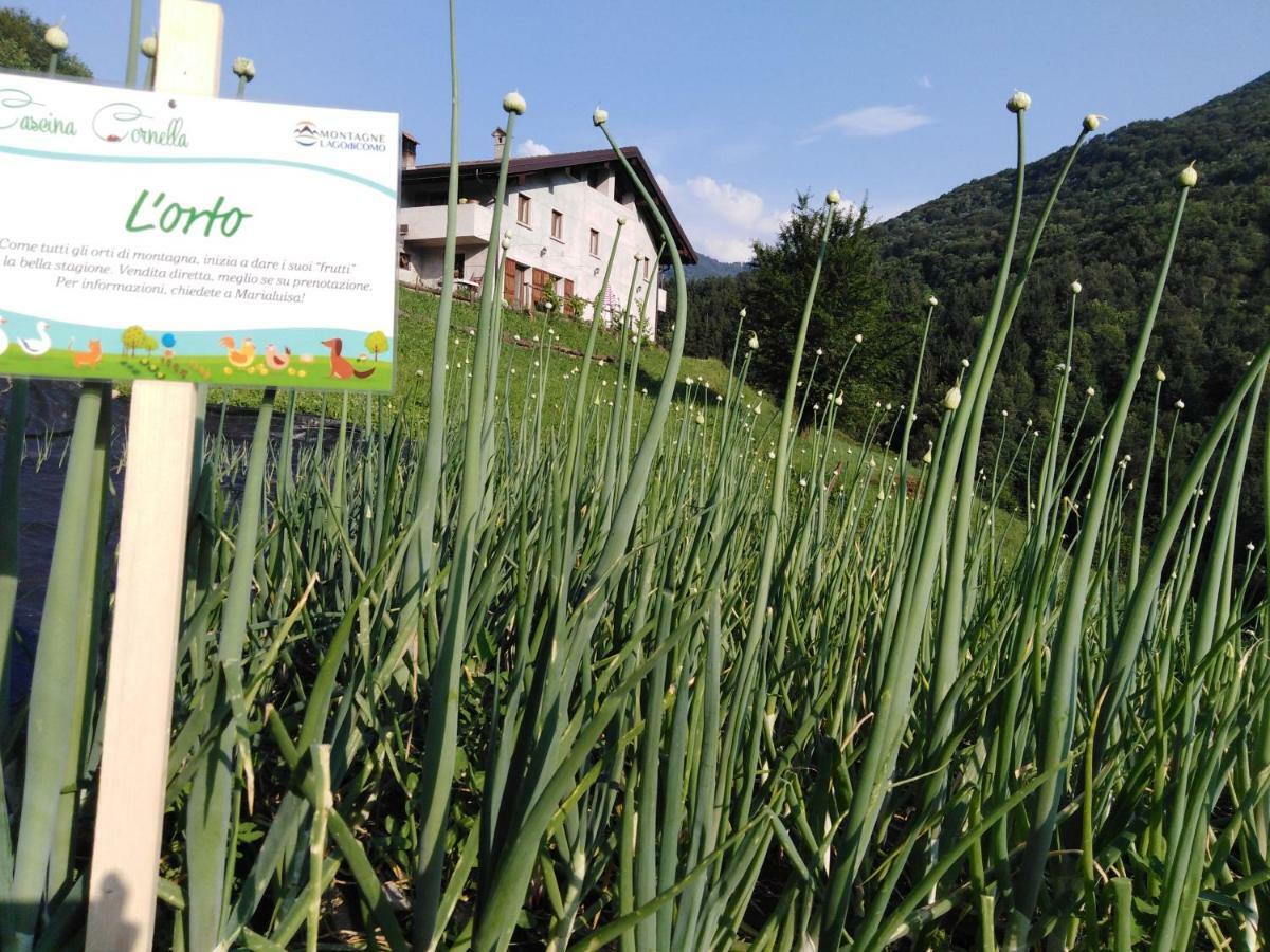 Agriturismo Cascina Cornella Cremeno Kültér fotó